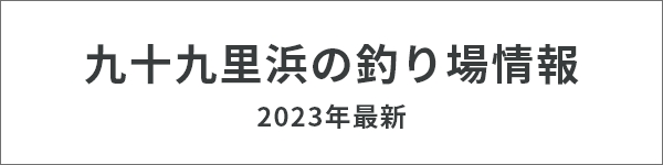 九十九里浜の釣果・釣り場情報【2023年最新】